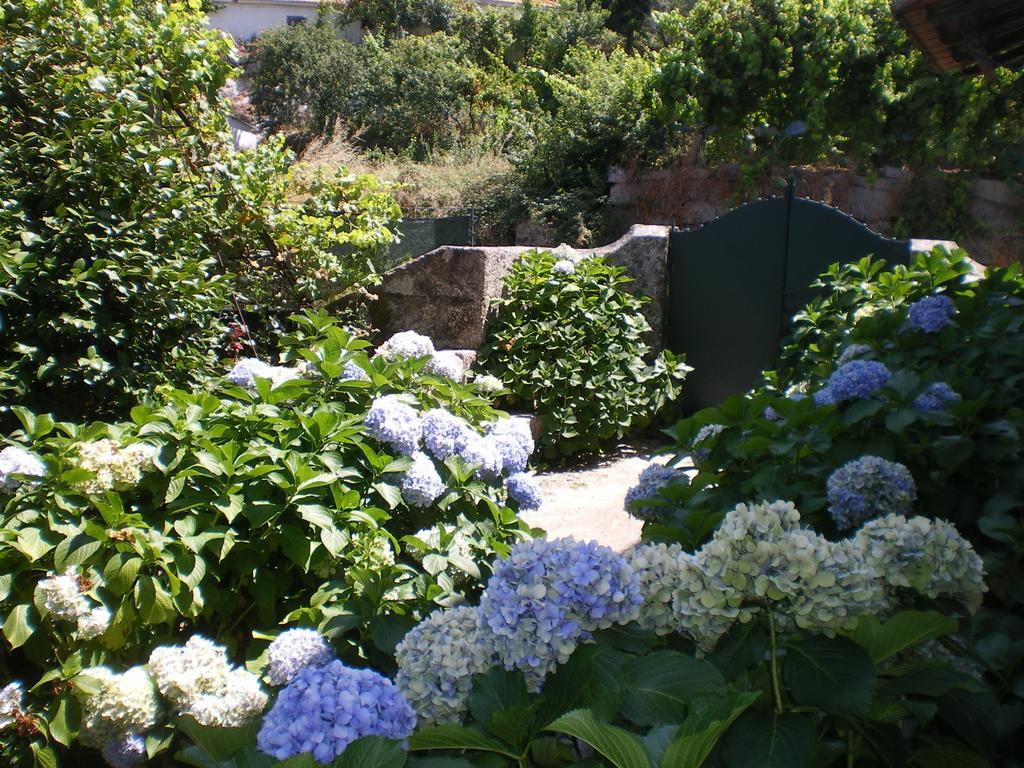 Casa Das Vendas 客房 照片